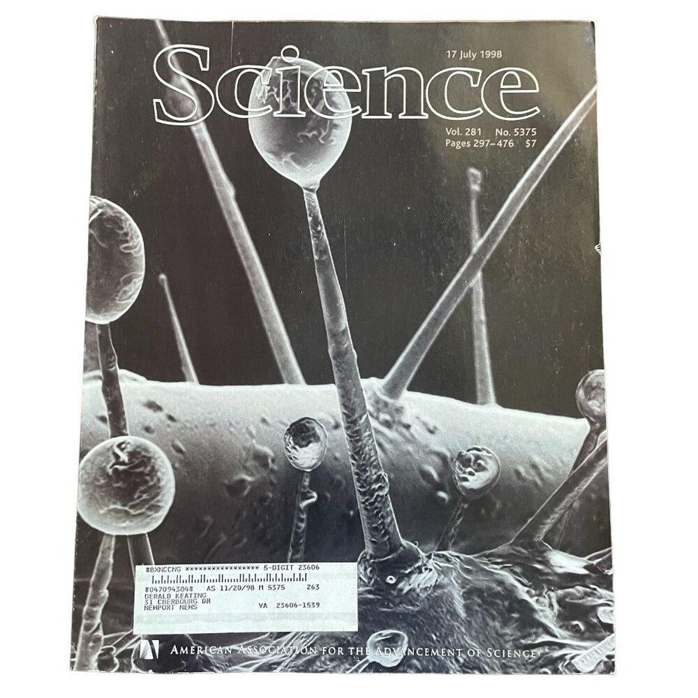 AAAS Science Magazine u Vol 281 No 5375 July 17 1998 Electron Glandular Hairs